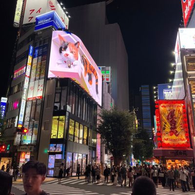 WhatsApp Image 2024-09-03 at 18.31.56 (1)